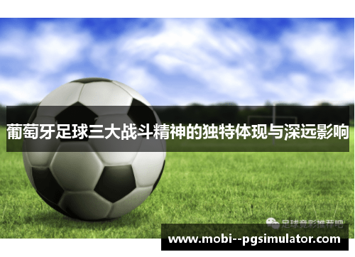 葡萄牙足球三大战斗精神的独特体现与深远影响